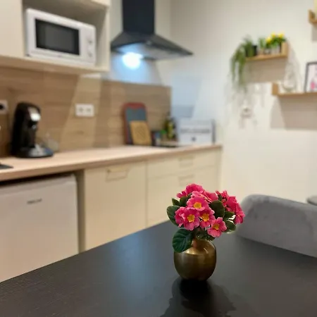 Newly Renovated Aparment - - Pets Welcome * Carcassone