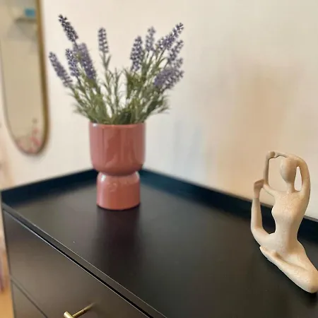 Newly Renovated Aparment - - Pets Welcome 公寓