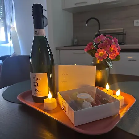 Newly Renovated Aparment - - Pets Welcome 公寓 *