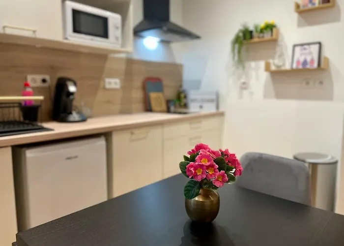 Newly Renovated Aparment - - Pets Welcome * Carcassonne