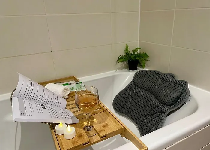 公寓 Newly Renovated Aparment - - Pets Welcome 卡尔卡松