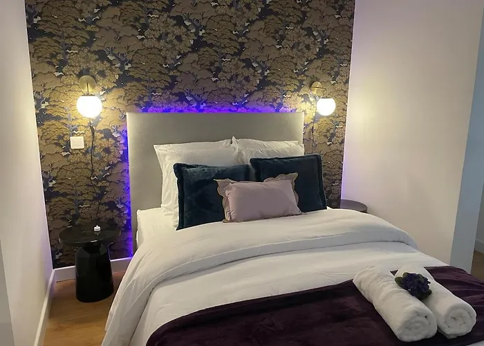 Newly Renovated Aparment - - Pets Welcome Apartment Carcassonne