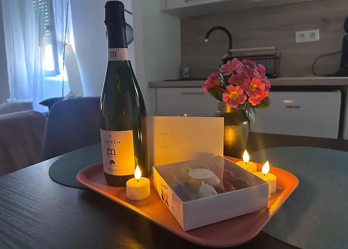 Newly Renovated Aparment - - Pets Welcome Apartman *